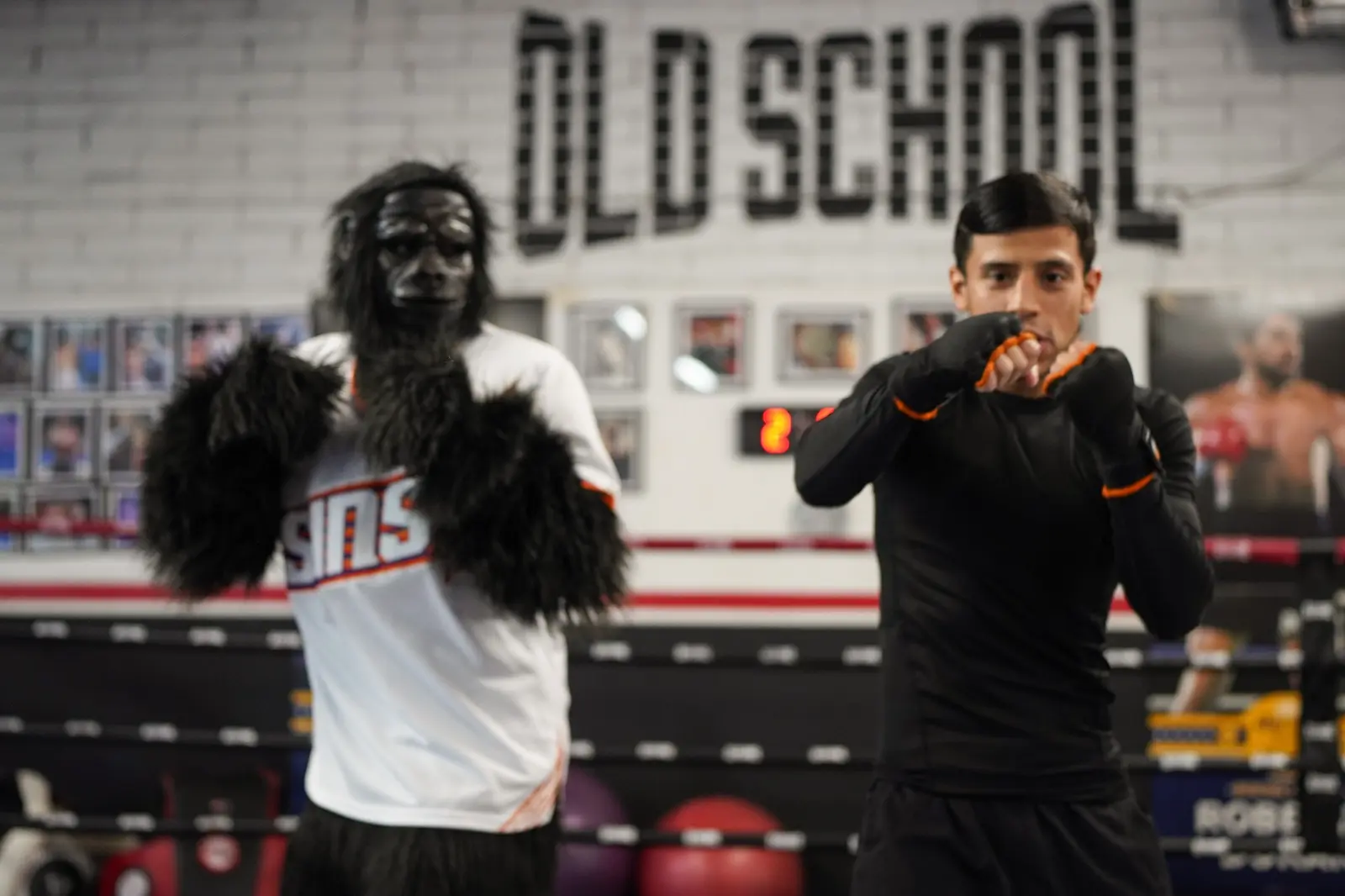 Phoenix Suns Gorilla visiting an event at Old School Boxing